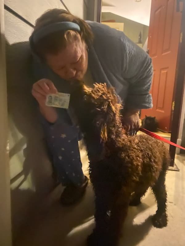 Customer photo of Goldendoodle puppy from Cheryl R.