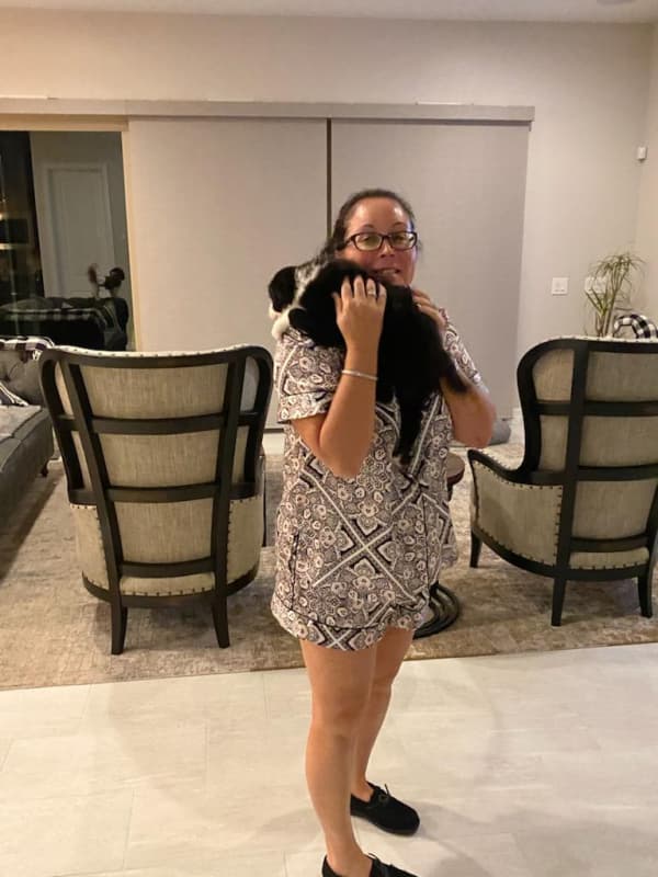 Customer photo of Border Collie puppy from Rachelle D.