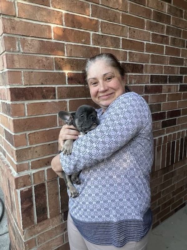 Customer photo of French Bulldog puppy from Tiffany C.