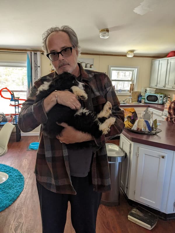 Customer photo of Aussiedoodle puppy from Todd C.