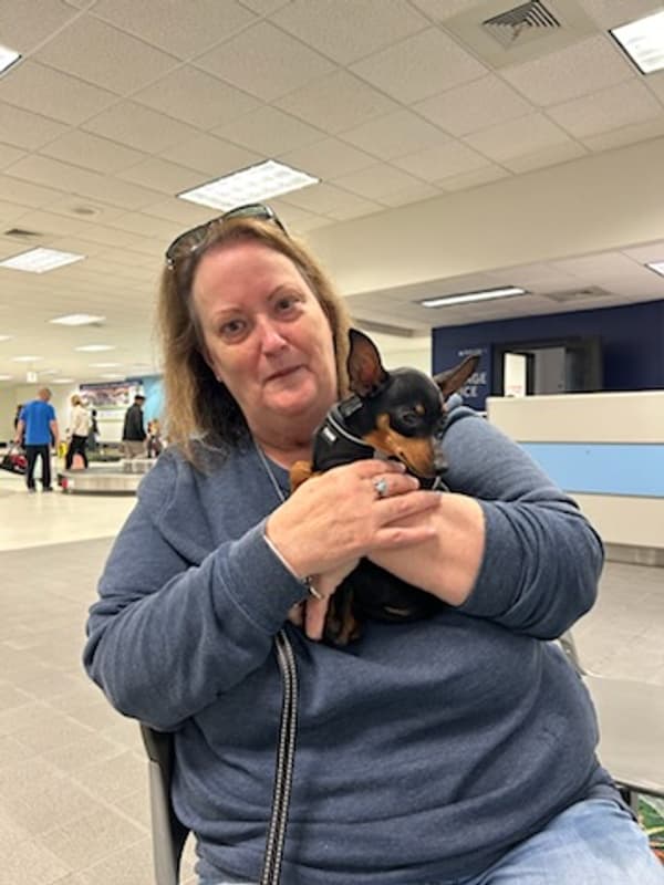 Customer photo of Miniature Pinscher puppy from Diana Y.