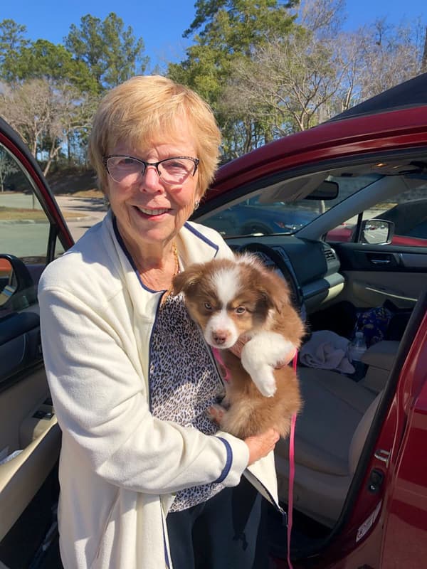 Customer photo of Miniature Australian Shepherd puppy from Ellen K.