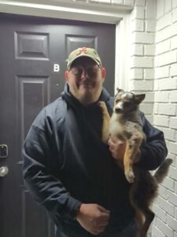 Customer photo of Pomsky puppy from Kevin G.