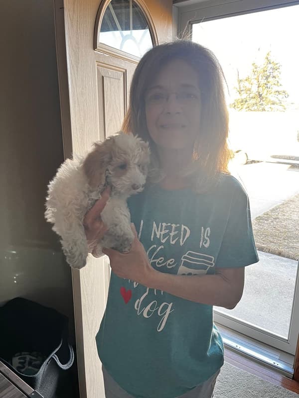 Customer photo of Goldendoodle, Mini puppy from Rose Y.