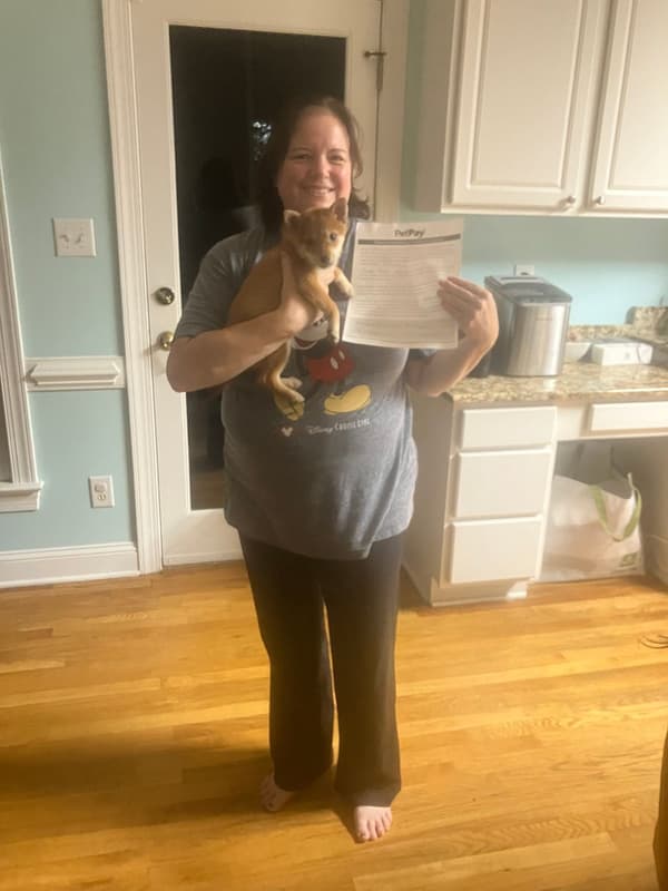 Customer photo of Shiba Inu puppy from Sandra P.