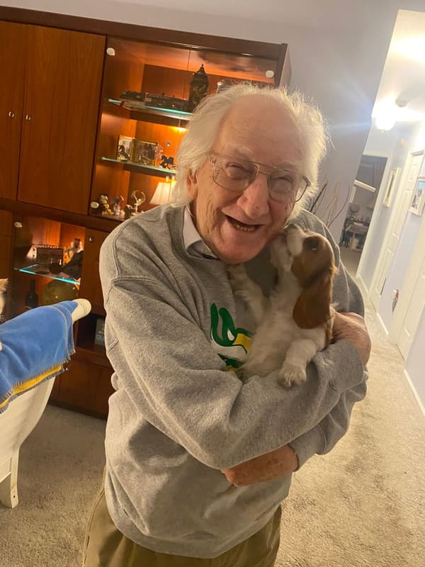 Customer photo of Cavalier King Charles Spaniel puppy from Herbert W.