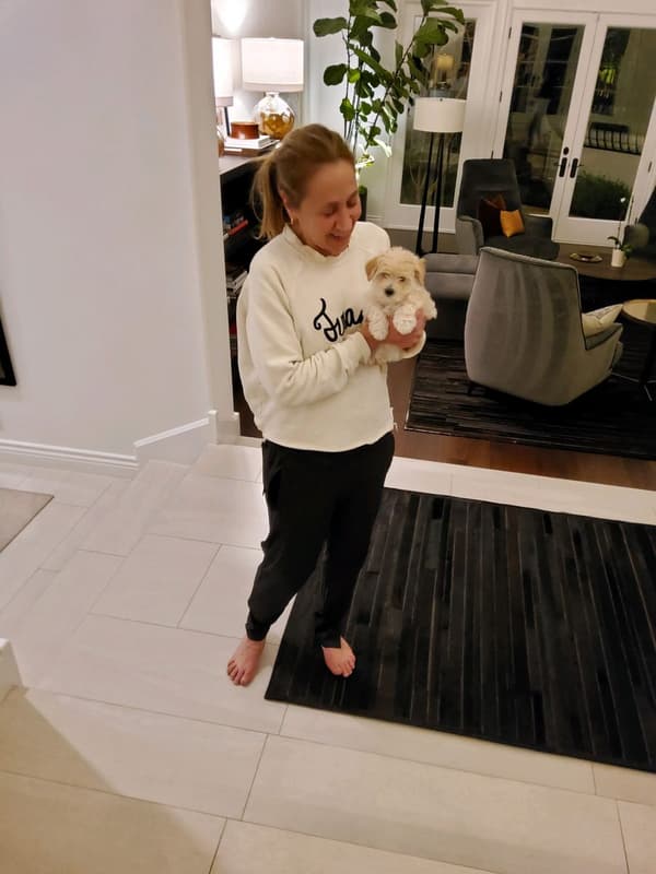 Customer photo of Bich-Poo - Bichpoo puppy from Monica S.