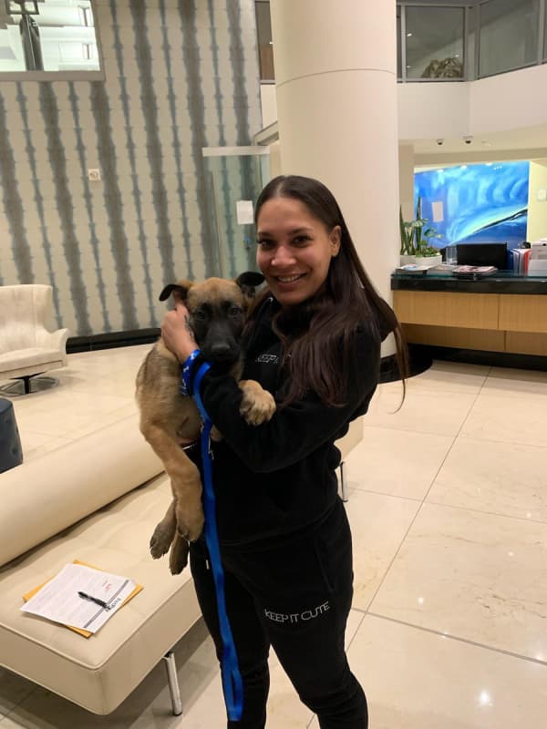 Customer photo of Belgian Malinois puppy from Veronica P.