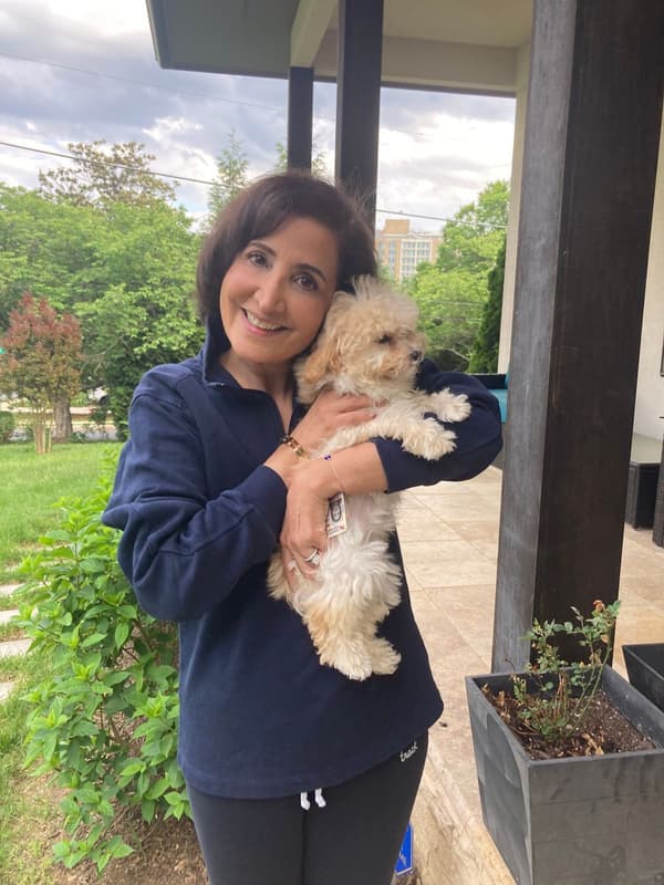 Customer photo of Bich-Poo - Bichpoo puppy from Pouneh R.
