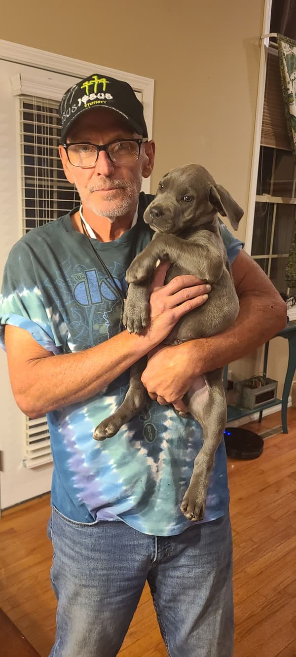 Customer photo of American Bandogge Mastiff puppy from Raymond P.