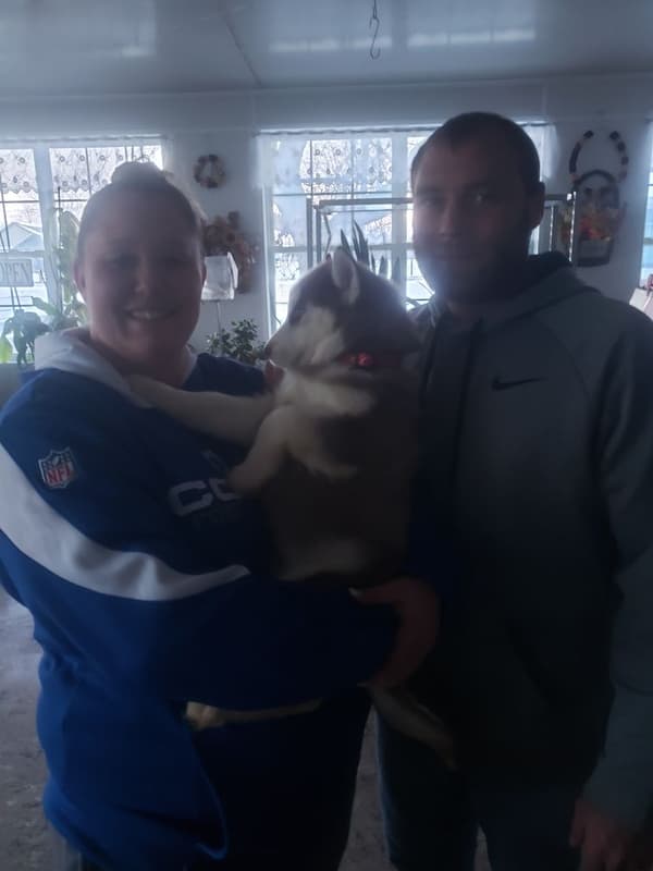 Customer photo of Siberian Husky puppy from Jake M.
