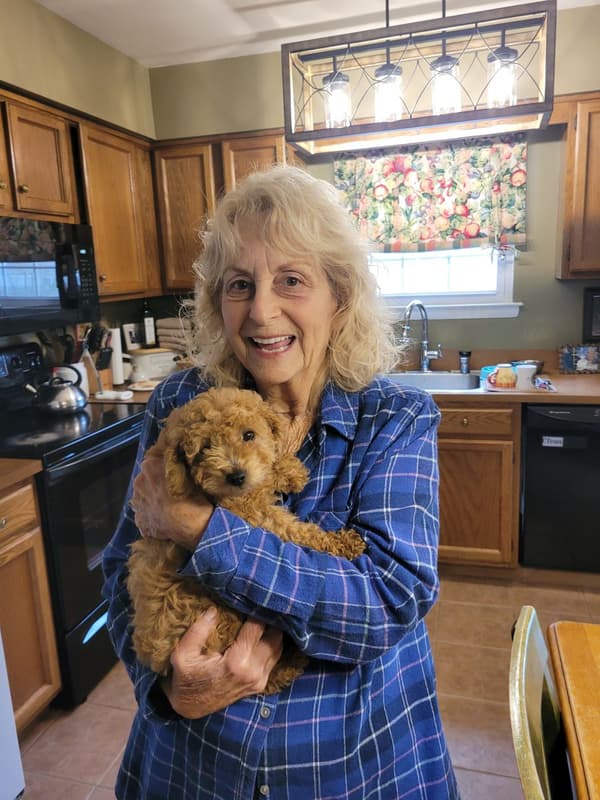 Customer photo of Cavapoo puppy from Roberta C.