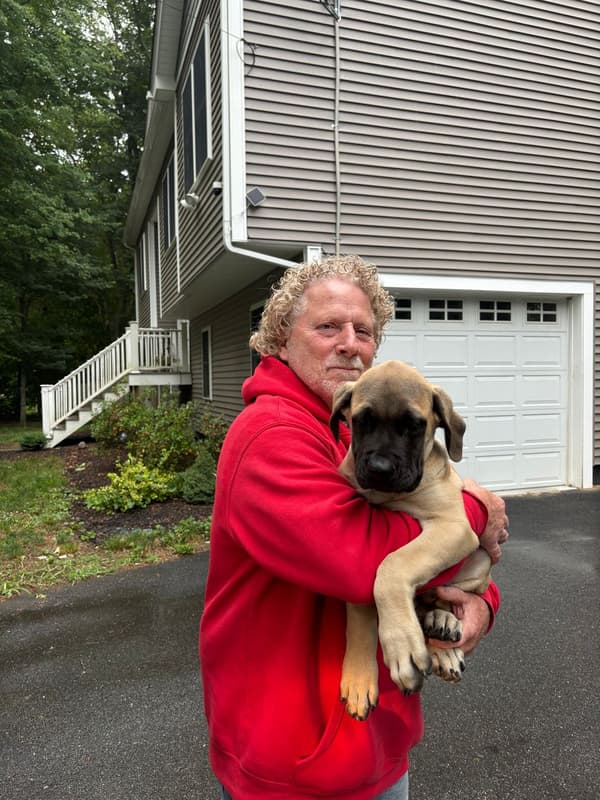 Customer photo of Mastiff puppy from Jimmy S.