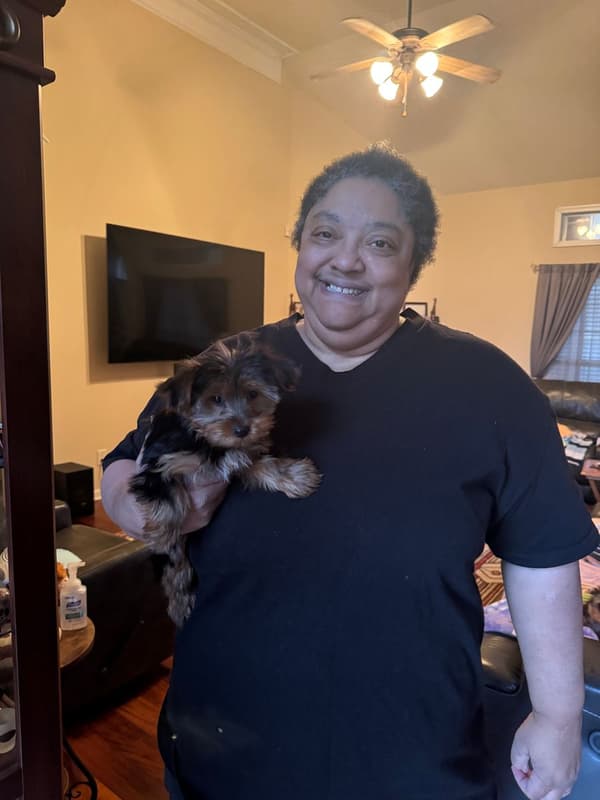 Customer photo of Yorkshire Terrier - Yorkie puppy from Donna V.