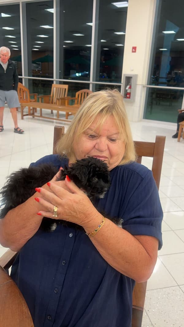 Customer photo of Malti Poo - Maltipoo puppy from Judyanne G.