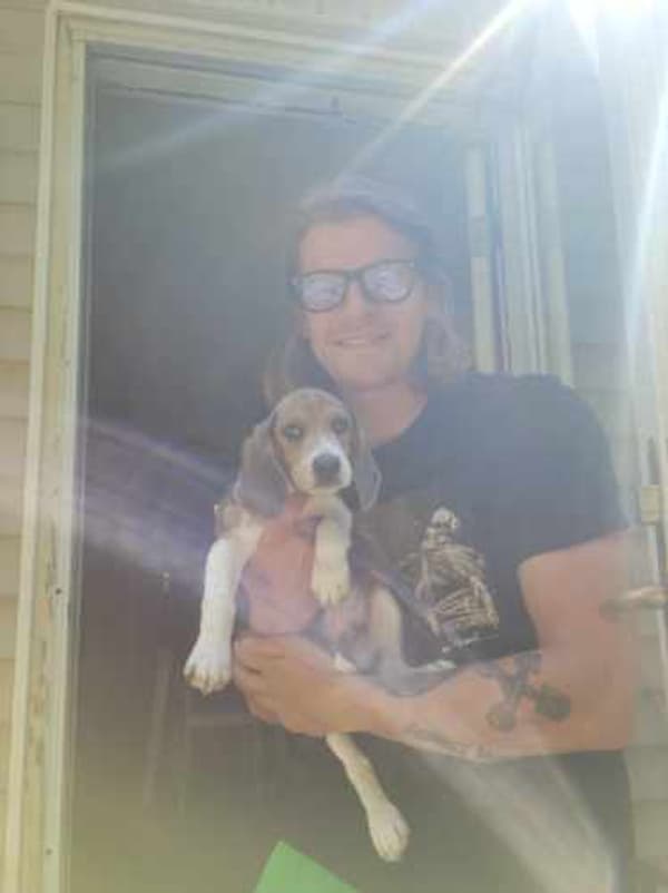 Customer photo of Beagle puppy from Samuel L.