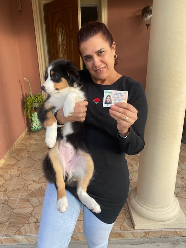 Customer photo of Australian Shepherd puppy from Elsie R.