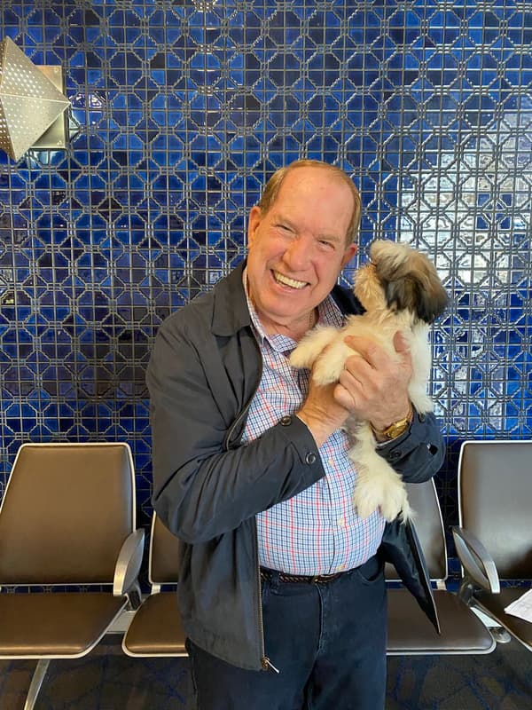 Customer photo of Shih Tzu puppy from Randel T.