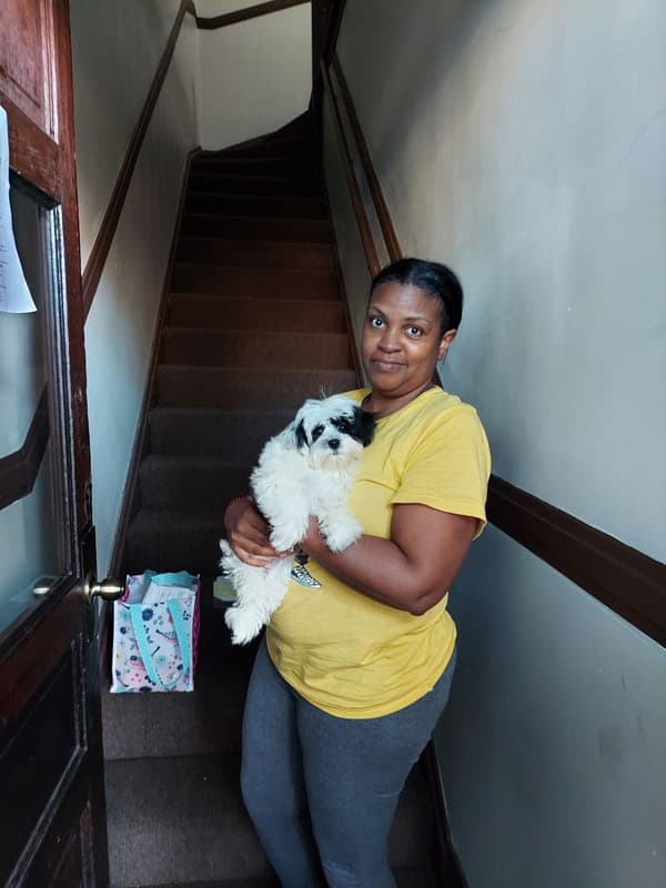 Customer photo of Havanese puppy from Tonya W.