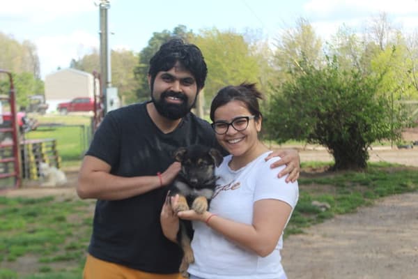 Customer photo of German Shepherd puppy from Ketan S.