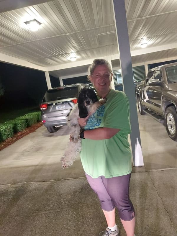 Customer photo of Cocker Spaniel puppy from Rebecca H.