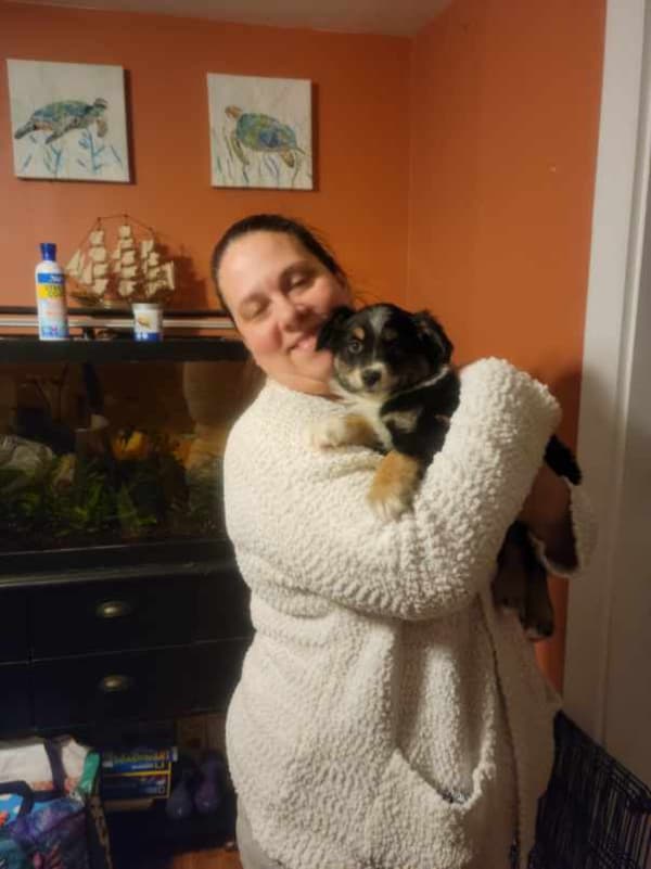 Customer photo of Australian Shepherd puppy from Lauren H.