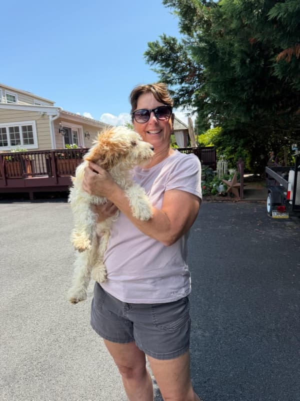 Customer photo of Goldendoodle puppy from Julie G.
