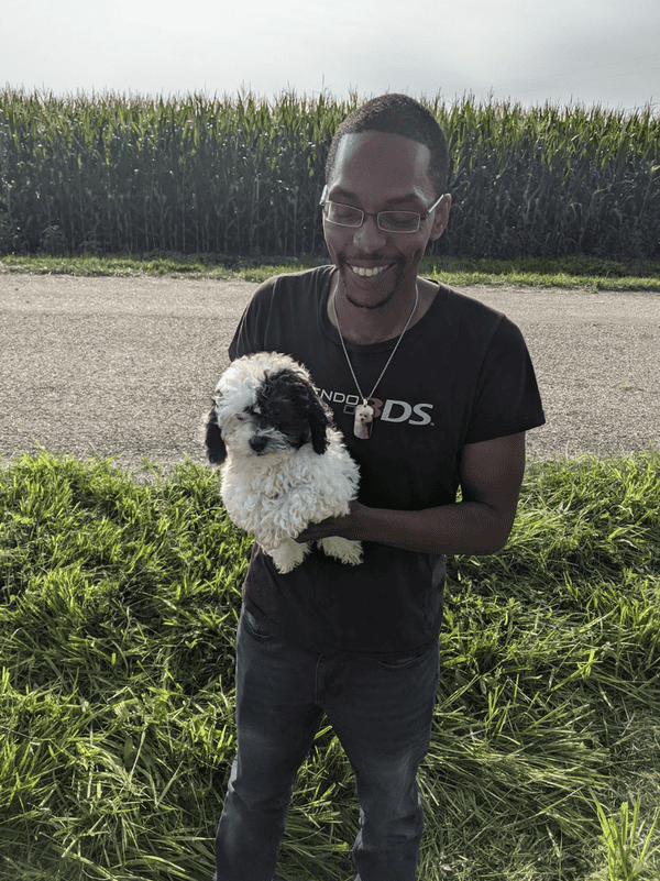 Customer photo of Bich-Poo - Bichpoo puppy from James A.