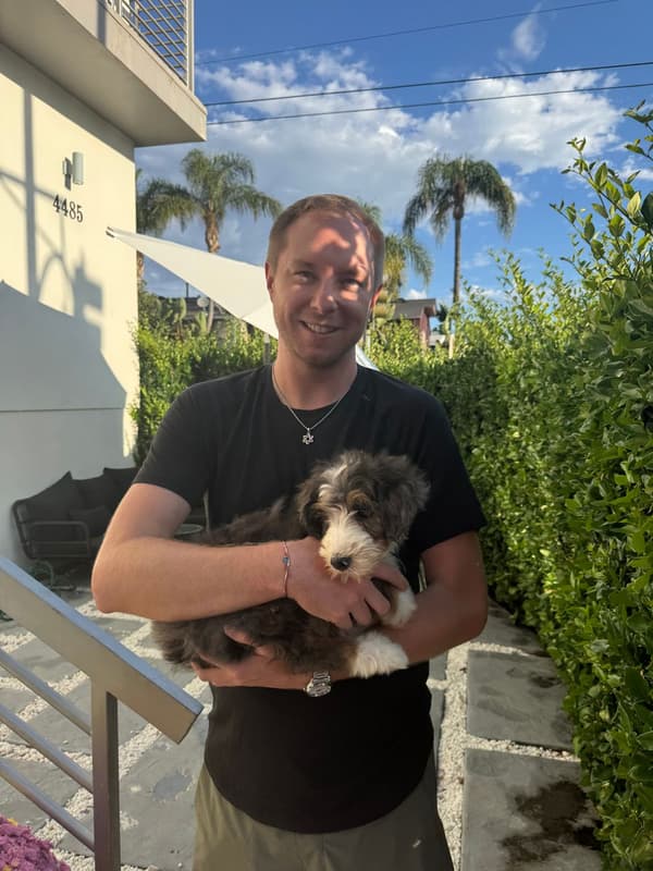 Customer photo of Bernedoodle puppy from Lawrence S.