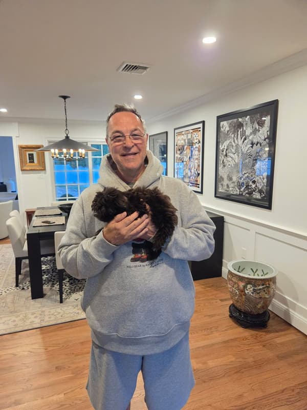 Customer photo of Havanese puppy from Lynn P.