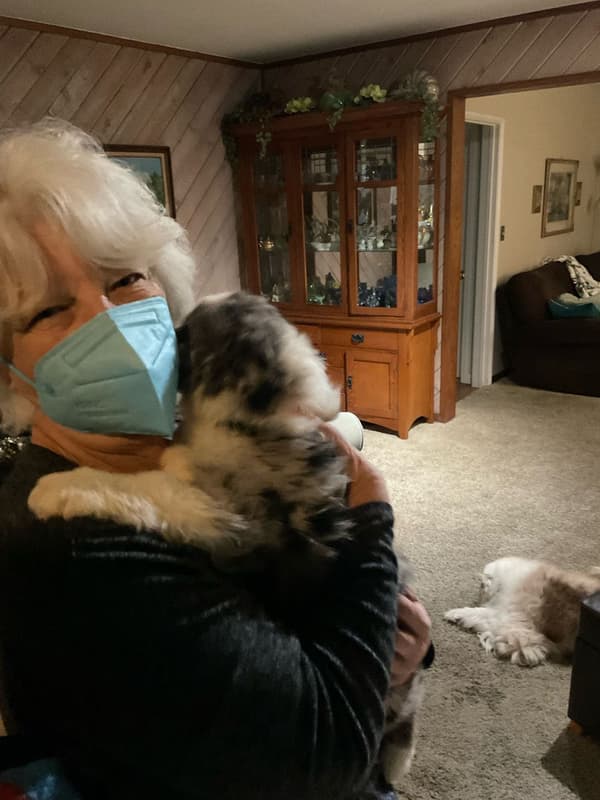 Customer photo of Australian Shepherd puppy from Kristi N.