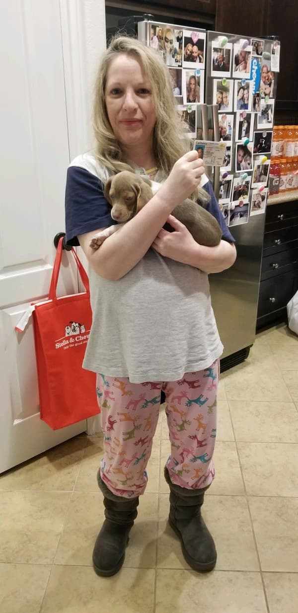Customer photo of Beagle puppy from Suzanne T.