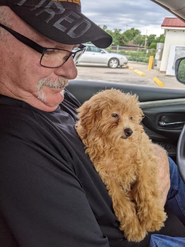 Customer photo of Aussiedoodle puppy from Trudy A. 
