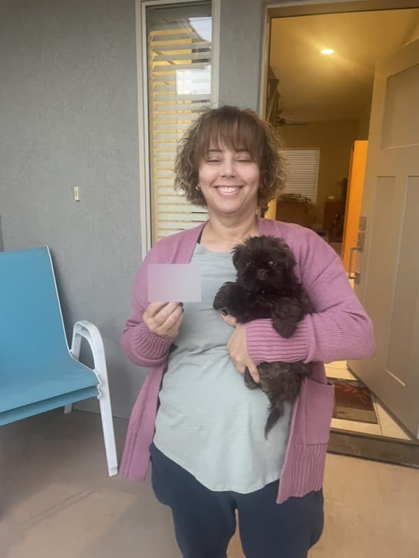 Customer photo of Shih Tzu puppy from Polly O.
