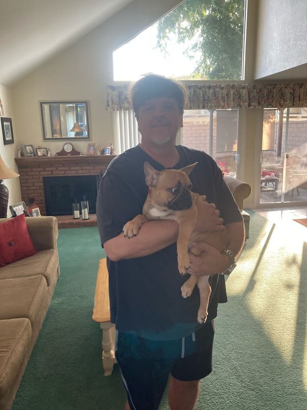 Customer photo of French Bulldog puppy from Katie J.