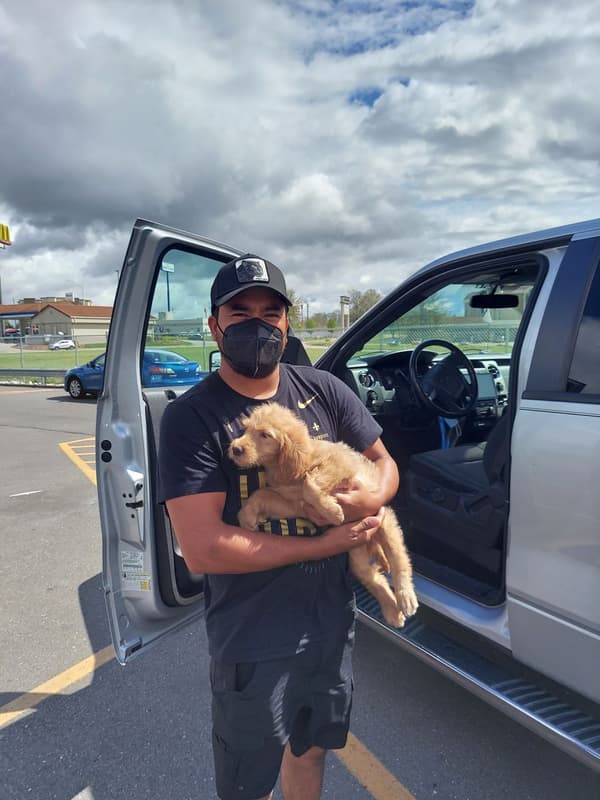 Customer photo of Goldendoodle puppy from Anyeli C.