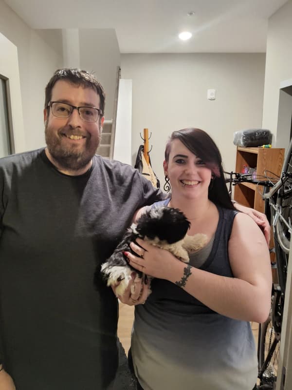 Customer photo of Shih Tzu puppy from Dan C.