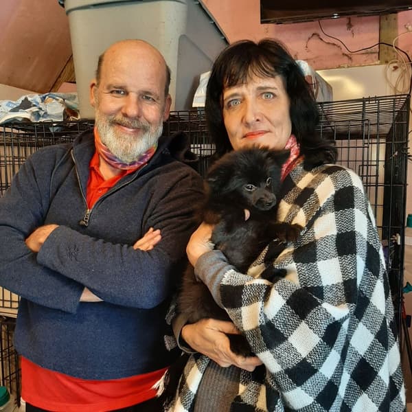 Customer photo of Pomeranian puppy from Peter C.