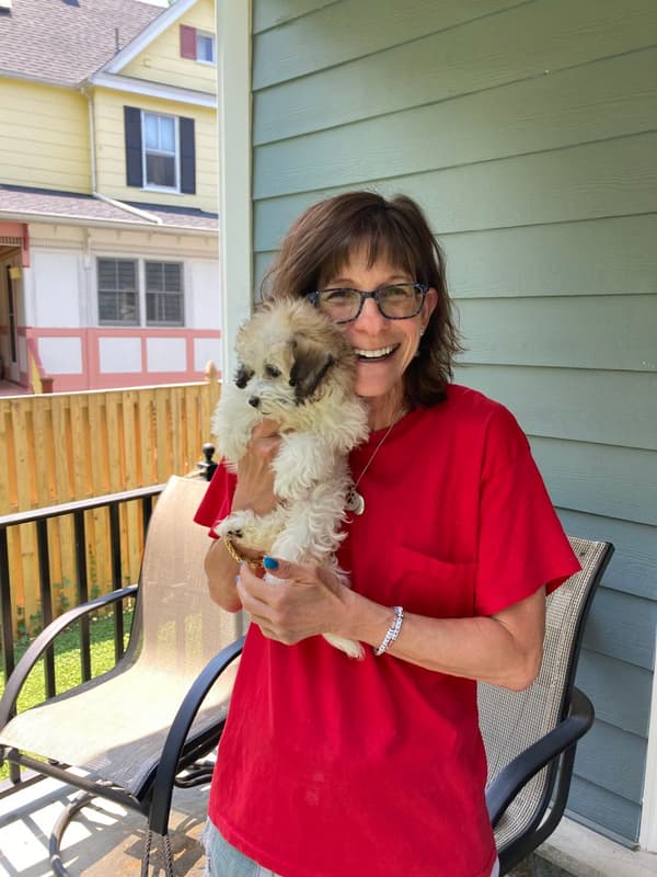 Customer photo of Coton De Tulear puppy from Jessica T.