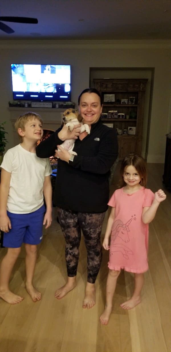 Customer photo of Beagle puppy from Stacy H.