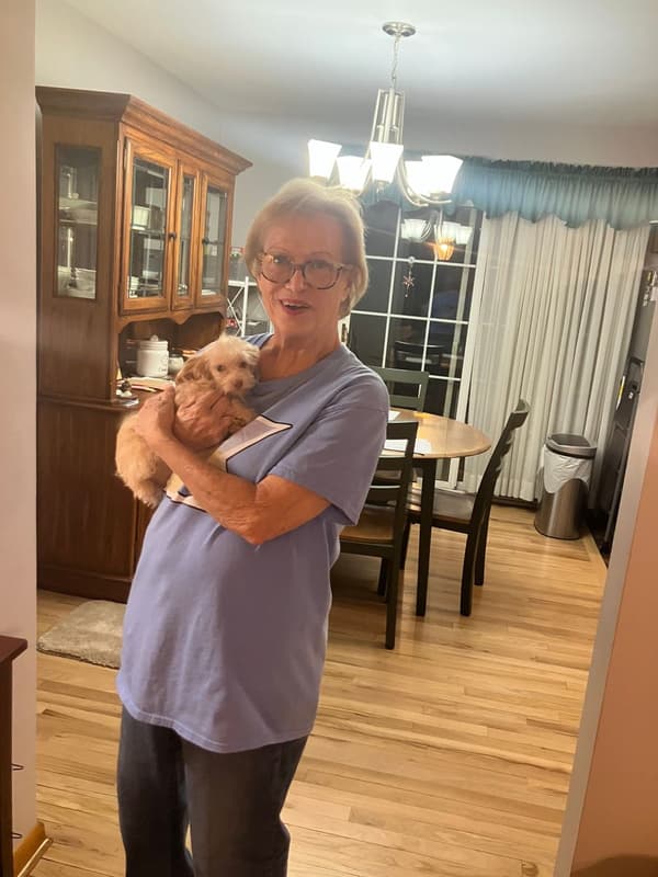 Customer photo of Havapoo puppy from Diana C.