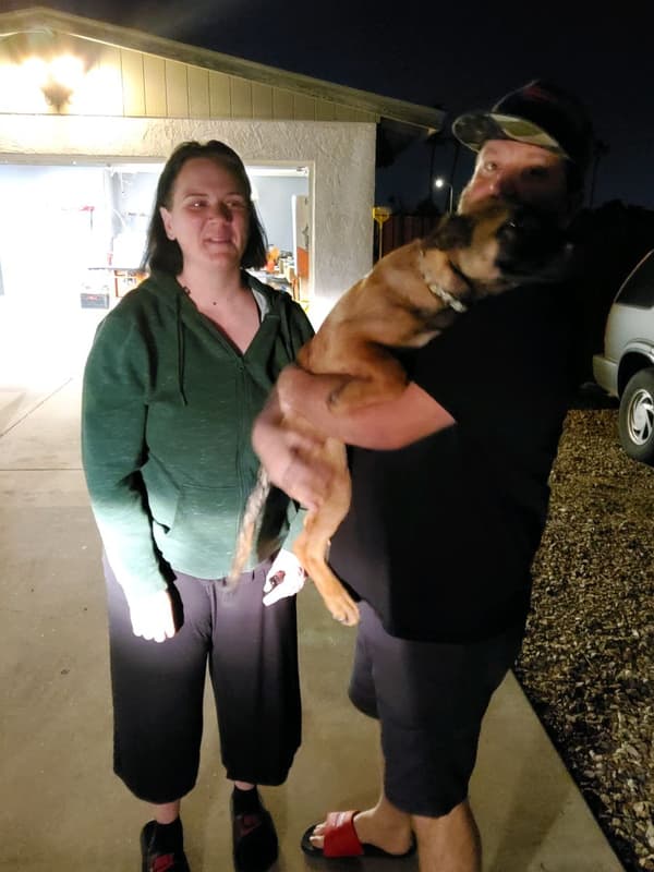 Customer photo of Belgian Malinois puppy from Trisha K.