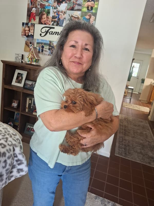 Customer photo of Cavapoo puppy from Donna H.