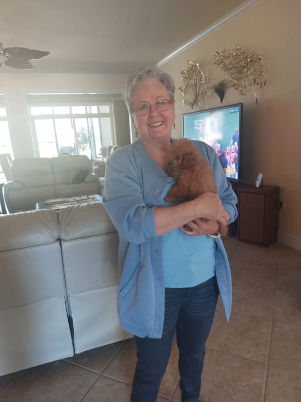 Customer photo of Poodle, Toy puppy from Diana H.