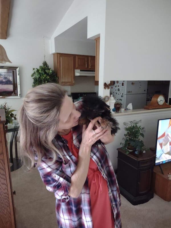 Customer photo of Yorkshire Terrier - Yorkie puppy from Jayne C.