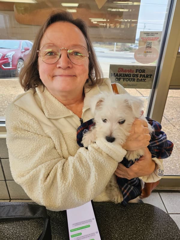 Customer photo of West Highland White Terrier - Westie puppy from Robin G.