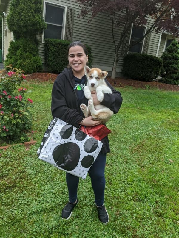 Customer photo of Siberian Husky puppy from Sandy A.