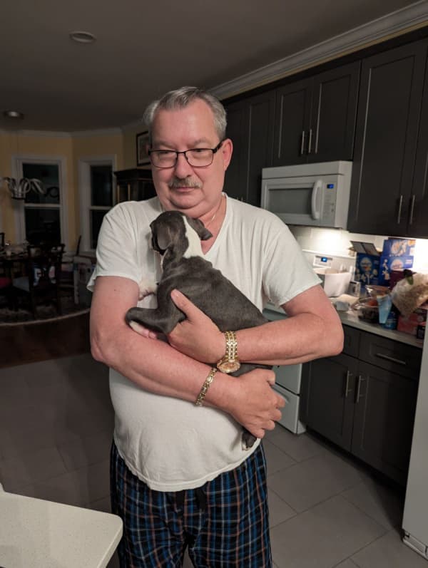 Customer photo of Boston Terrier puppy from Joey T.