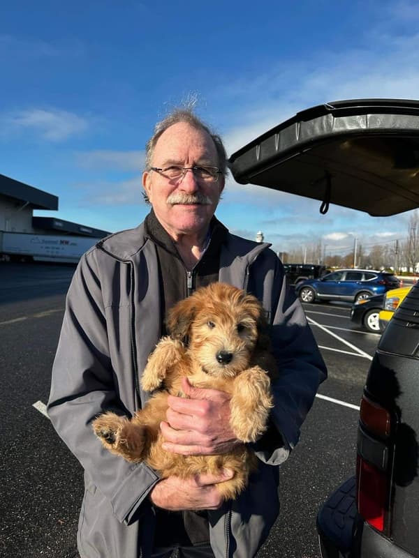 Customer photo of Soft Coated Wheaten Terrier puppy from Ralph & Karen S.