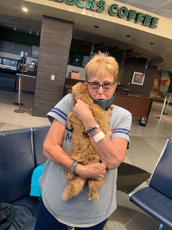 Customer photo of Goldendoodle, Mini puppy from Matt W.